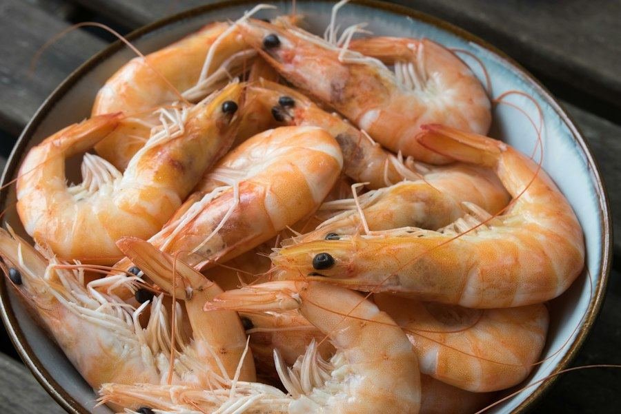 Argentine red shrimp